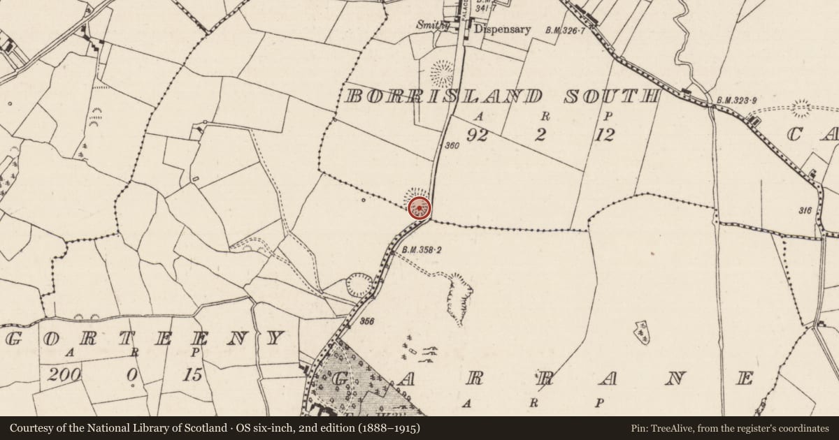 Ordnance Survey six-inch map, 2nd edition (1888–1915) covering the location of Ringfort - rath, Borrisland South, Gorteeny, County Tipperary North, with a pin at the register's coordinates