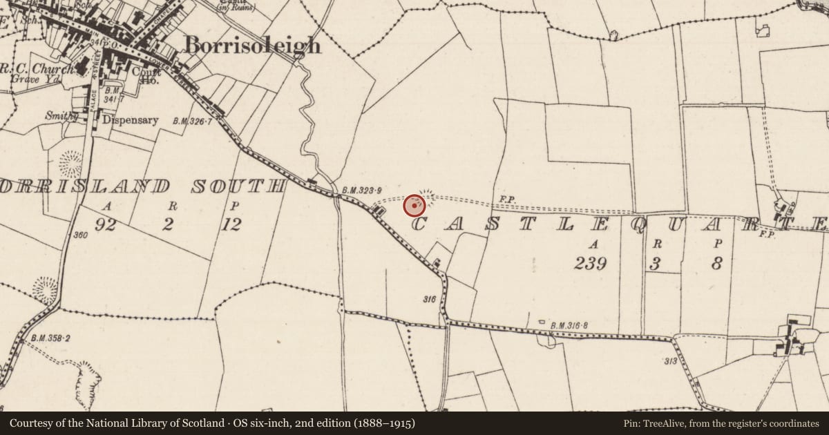 Ordnance Survey six-inch map, 2nd edition (1888–1915) covering the location of Ringfort - rath, Castlequarter (Glenkeen Par.), County Tipperary North, with a pin at the register's coordinates