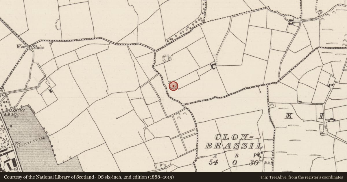 Ordnance Survey six-inch map, 2nd edition (1888–1915) covering the location of Ringfort - rath, Drom, County Tipperary North, with a pin at the register's coordinates