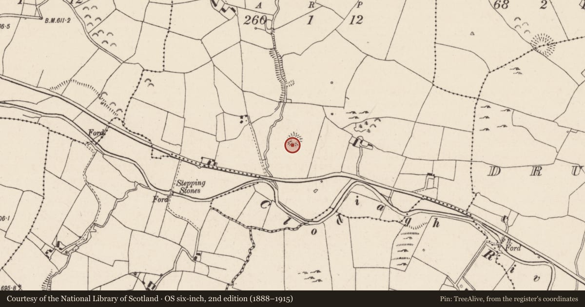 Ordnance Survey six-inch map, 2nd edition (1888–1915) covering the location of Ringfort - rath, Killamoyne, County Tipperary North, with a pin at the register's coordinates