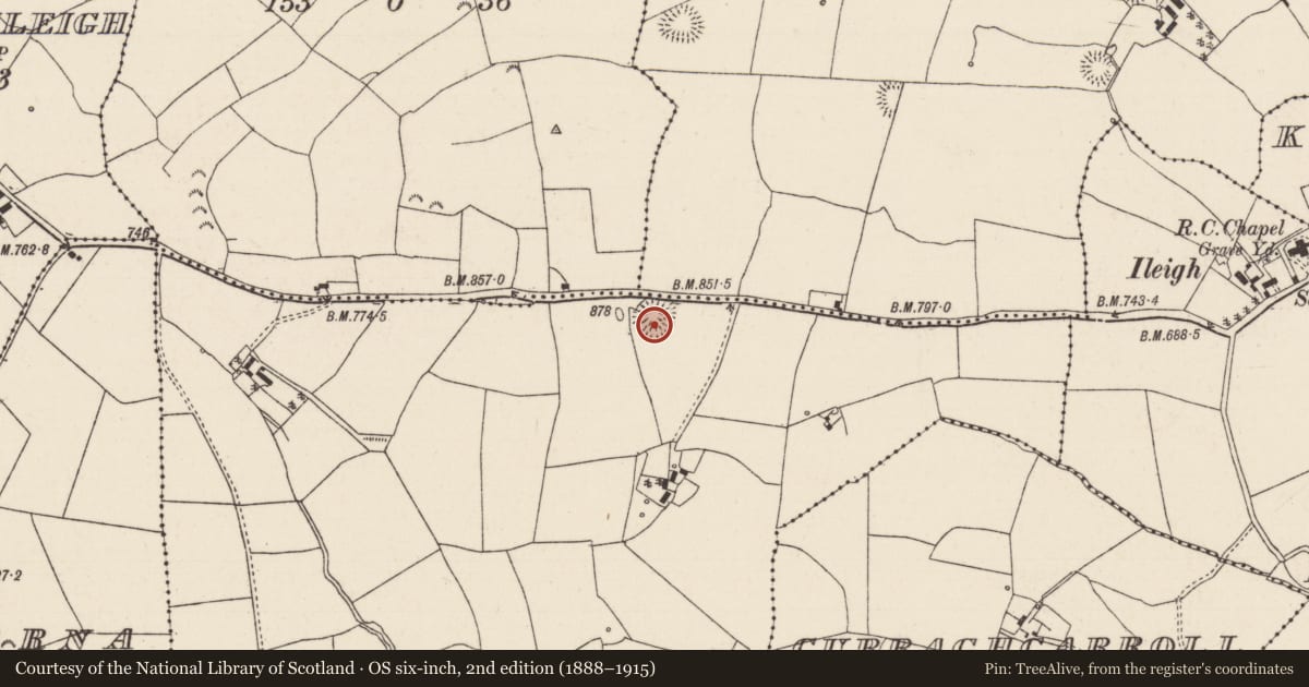 Ordnance Survey six-inch map, 2nd edition (1888–1915) covering the location of Castle - ringwork, Killamoyne, Rosnamulteeny, County Tipperary North, with a pin at the register's coordinates