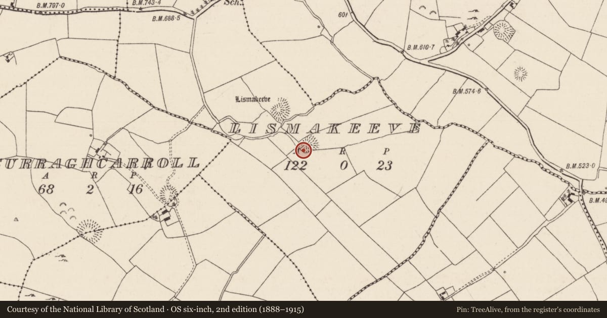Ordnance Survey six-inch map, 2nd edition (1888–1915) covering the location of Ringfort - rath, Lismakeeve, County Tipperary North, with a pin at the register's coordinates