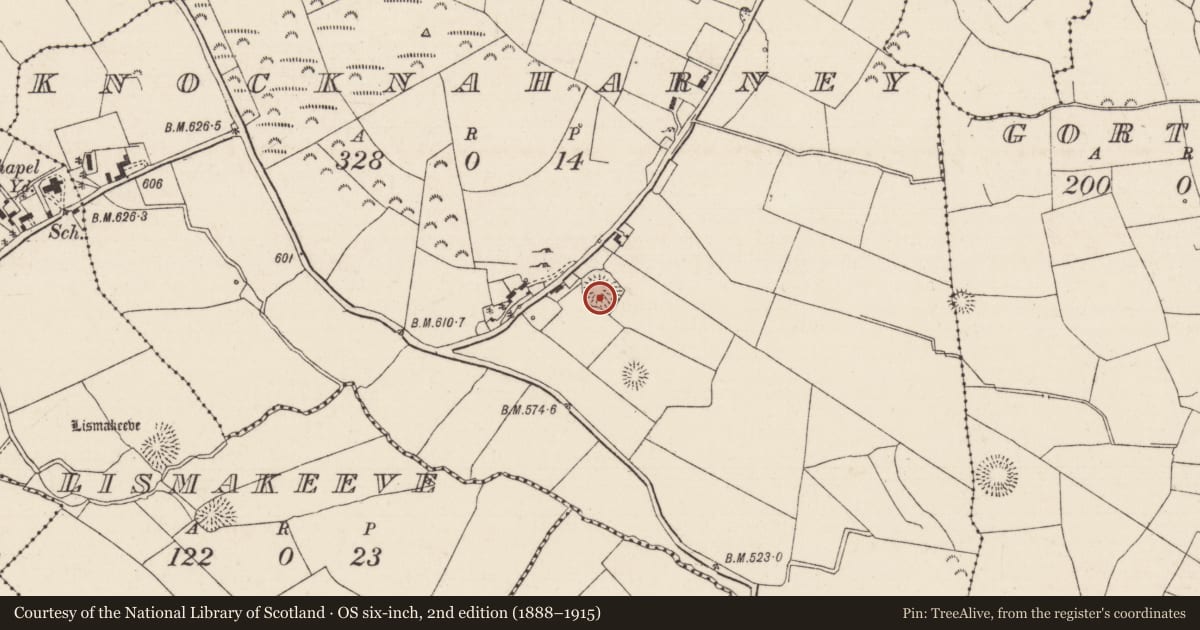 Ordnance Survey six-inch map, 2nd edition (1888–1915) covering the location of Ringfort - rath, Knocknaharney, County Tipperary North, with a pin at the register's coordinates