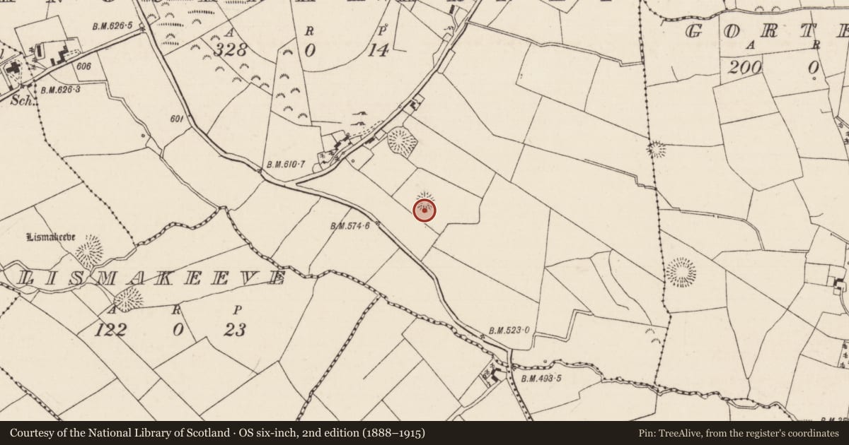 Ordnance Survey six-inch map, 2nd edition (1888–1915) covering the location of Ringfort - rath, Knocknaharney, County Tipperary North, with a pin at the register's coordinates