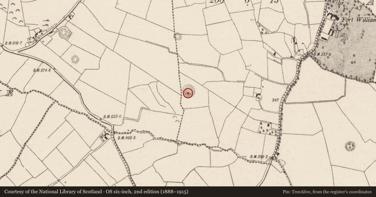 Ordnance Survey six-inch map, 2nd edition (1888–1915) covering the location of Ringfort - rath, Gorteeny, County Tipperary North, with a pin at the register's coordinates