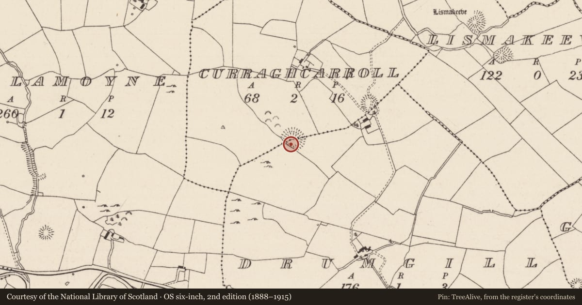 Ordnance Survey six-inch map, 2nd edition (1888–1915) covering the location of Ringfort - rath, Curraghcarroll, Drumgill, County Tipperary North, with a pin at the register's coordinates