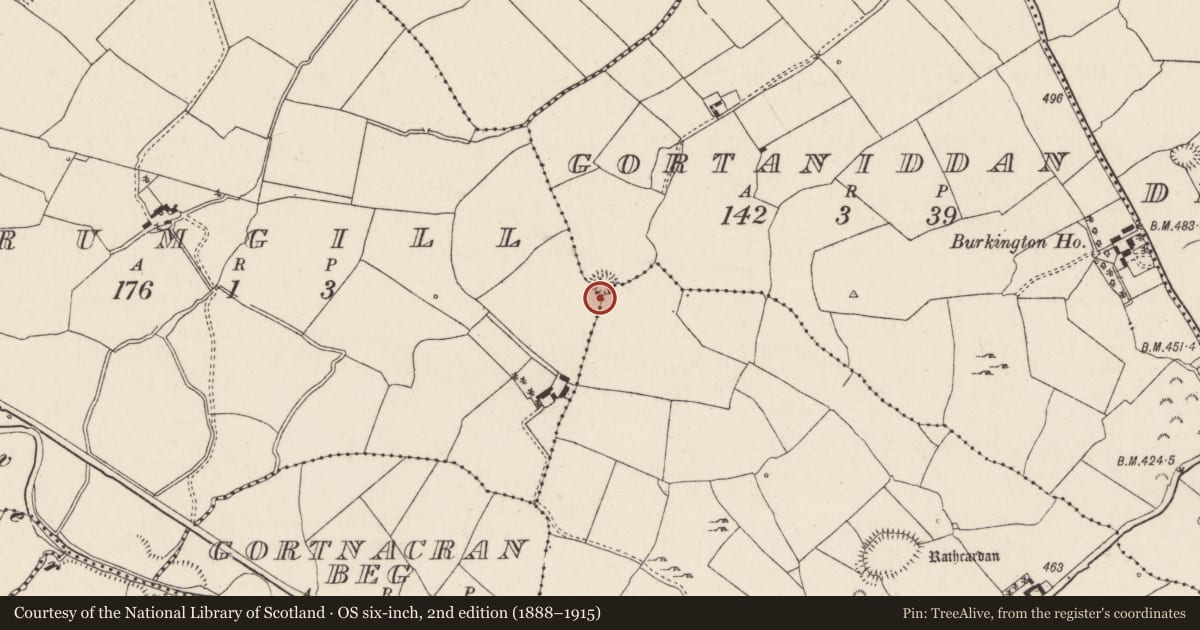 Ordnance Survey six-inch map, 2nd edition (1888–1915) covering the location of Enclosure, County Tipperary North, with a pin at the register's coordinates