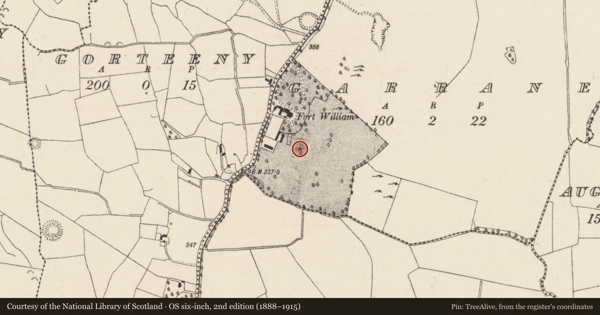 Ordnance Survey six-inch map, 2nd edition (1888–1915) covering the location of Designed landscape - tree-ring, Garrane (Glenkeen Par.), County Tipperary North, with a pin at the register's coordinates