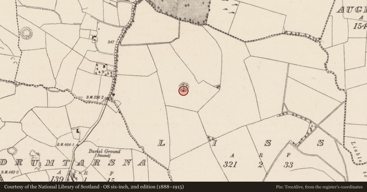 Ordnance Survey six-inch map, 2nd edition (1888–1915) covering the location of Ringfort - rath, Liss, County Tipperary North, with a pin at the register's coordinates