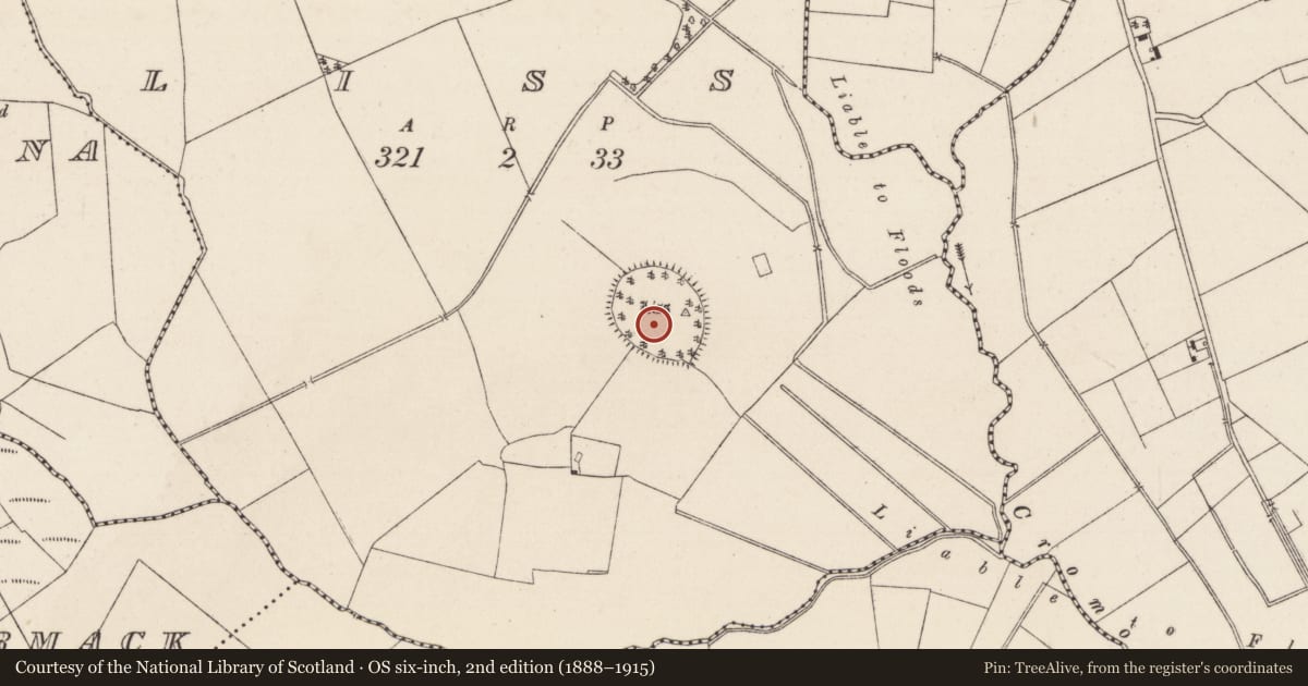 Ordnance Survey six-inch map, 2nd edition (1888–1915) covering the location of Hilltop enclosure, Liss, County Tipperary North, with a pin at the register's coordinates