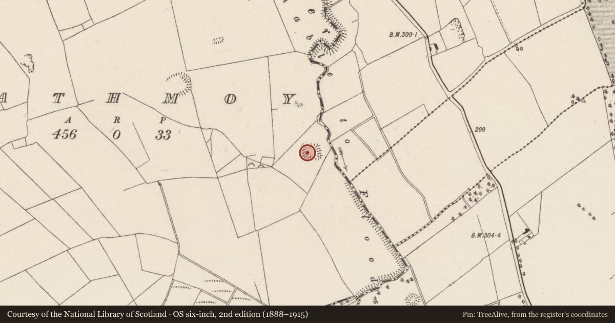 Ordnance Survey six-inch map, 2nd edition (1888–1915) covering the location of Moated site, Rathmoy, County Tipperary North, with a pin at the register's coordinates