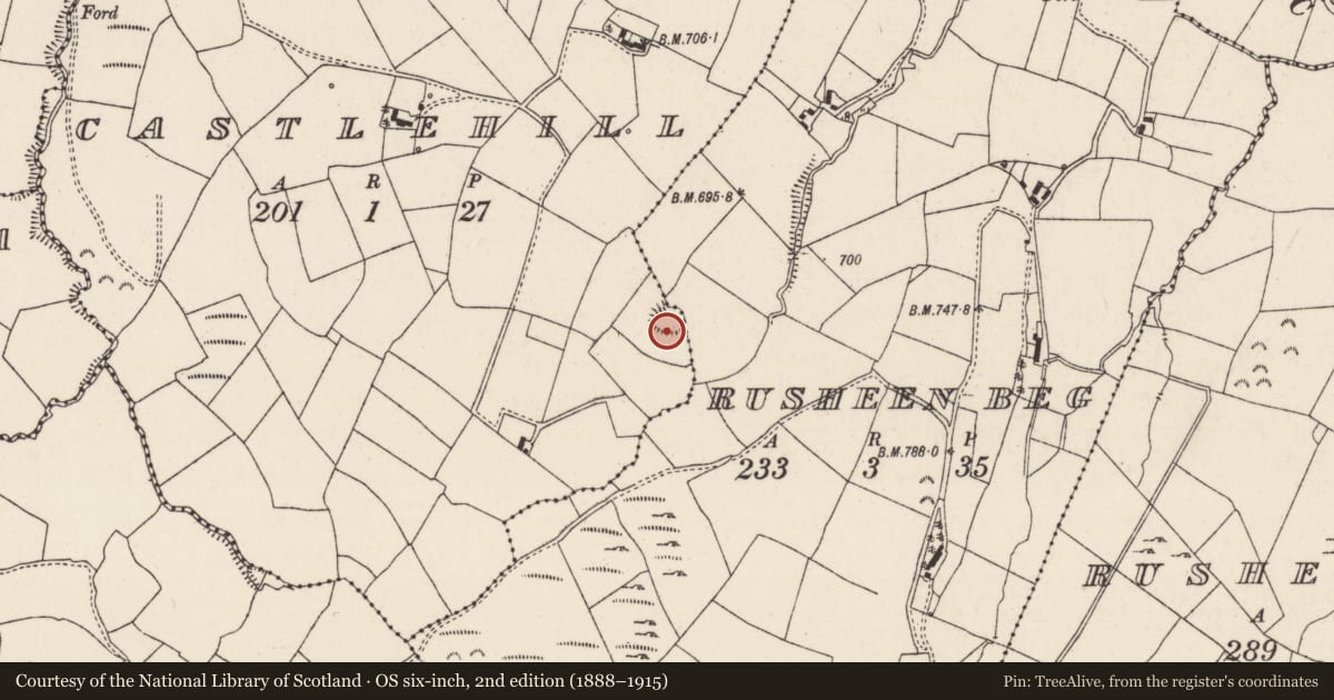 Ordnance Survey six-inch map, 2nd edition (1888–1915) covering the location of Ringfort - rath, Castlehill, Rusheen Beg, County Tipperary North, with a pin at the register's coordinates