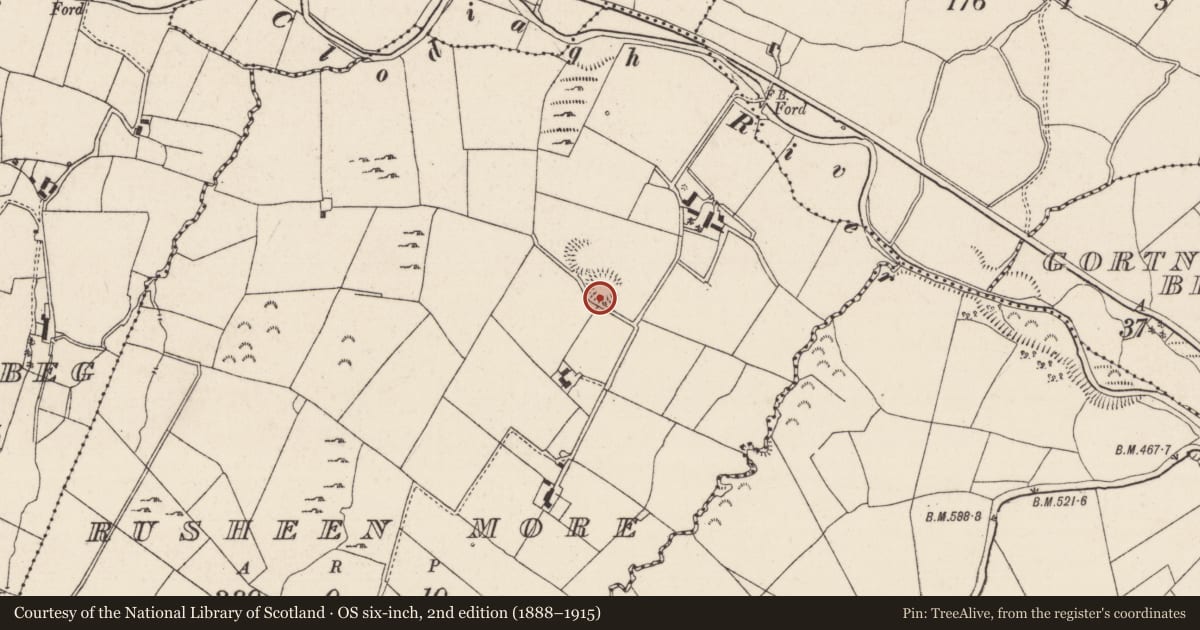 Ordnance Survey six-inch map, 2nd edition (1888–1915) covering the location of Enclosure, Rusheen More, County Tipperary North, with a pin at the register's coordinates