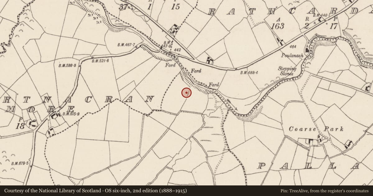 Ordnance Survey six-inch map, 2nd edition (1888–1915) covering the location of Moated site, Gortnahalla, County Tipperary North, with a pin at the register's coordinates