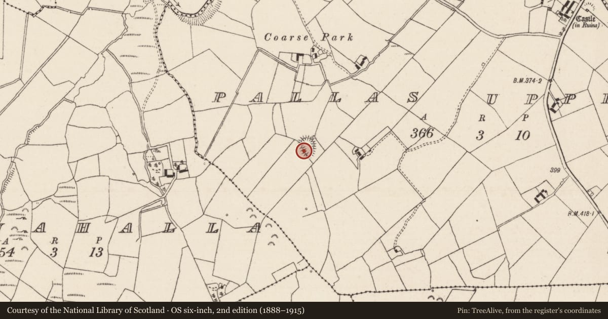 Ordnance Survey six-inch map, 2nd edition (1888–1915) covering the location of Ringfort - rath, Pallas Upper, County Tipperary North, with a pin at the register's coordinates