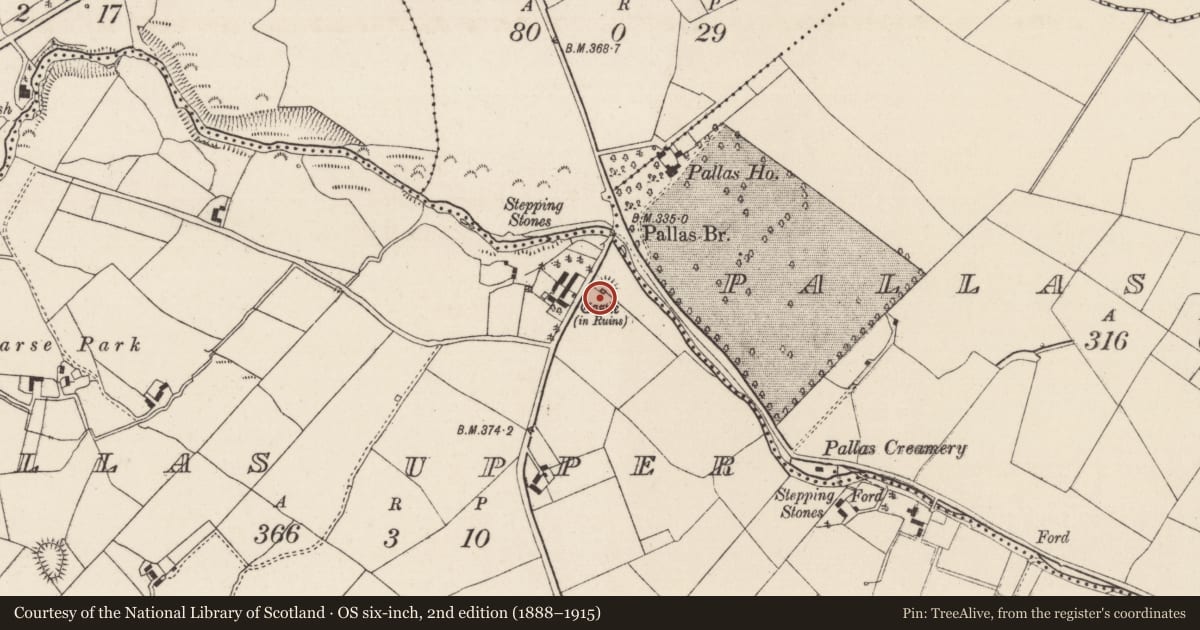 Ordnance Survey six-inch map, 2nd edition (1888–1915) covering the location of Castle - tower house, Pallas Upper, County Tipperary North, with a pin at the register's coordinates