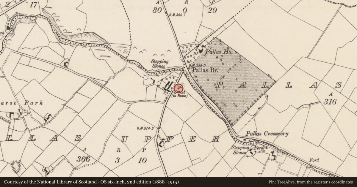 Ordnance Survey six-inch map, 2nd edition (1888–1915) covering the location of Bawn, Pallas Upper, County Tipperary North, with a pin at the register's coordinates