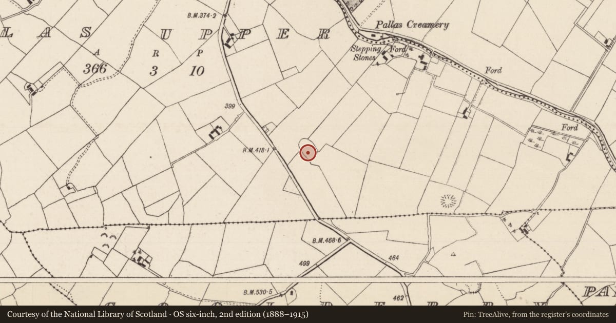 Ordnance Survey six-inch map, 2nd edition (1888–1915) covering the location of Moated site, Pallas Upper, County Tipperary North, with a pin at the register's coordinates