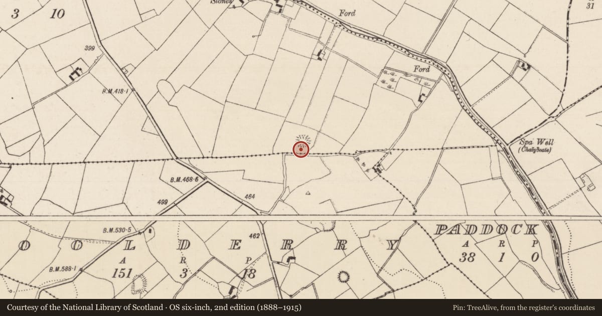 Ordnance Survey six-inch map, 2nd edition (1888–1915) covering the location of Ringfort - rath, Pallas Upper, County Tipperary North, with a pin at the register's coordinates