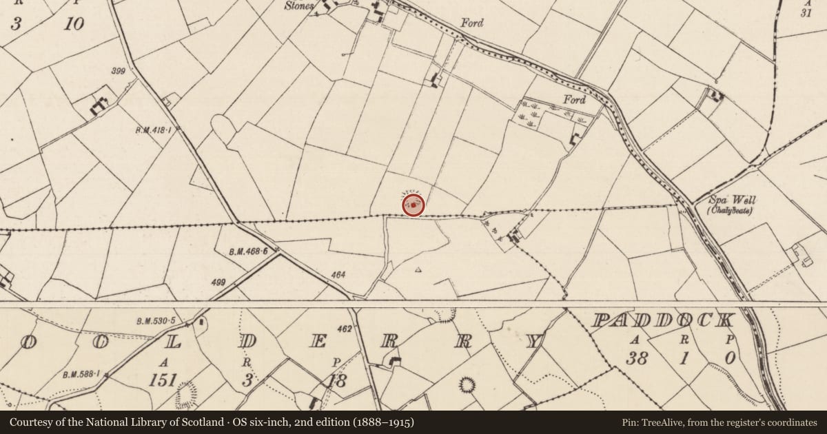 Ordnance Survey six-inch map, 2nd edition (1888–1915) covering the location of Bullaun stone, Pallas Upper, County Tipperary North, with a pin at the register's coordinates