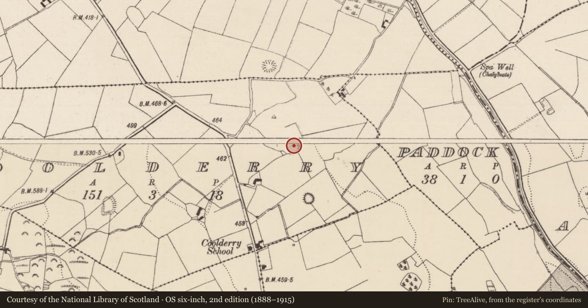 Ordnance Survey six-inch map, 2nd edition (1888–1915) covering the location of Ringfort - rath, Coolderry (Glenkeen Par.), County Tipperary North, with a pin at the register's coordinates