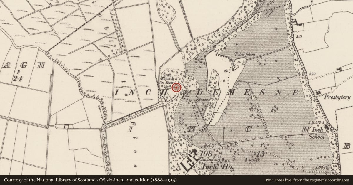 Ordnance Survey six-inch map, 2nd edition (1888–1915) covering the location of Castle - unclassified, Magherareagh (Inch Par.), County Tipperary North, with a pin at the register's coordinates