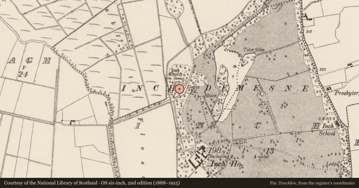Ordnance Survey six-inch map, 2nd edition (1888–1915) covering the location of Graveyard, Magherareagh (Inch Par.), County Tipperary North, with a pin at the register's coordinates
