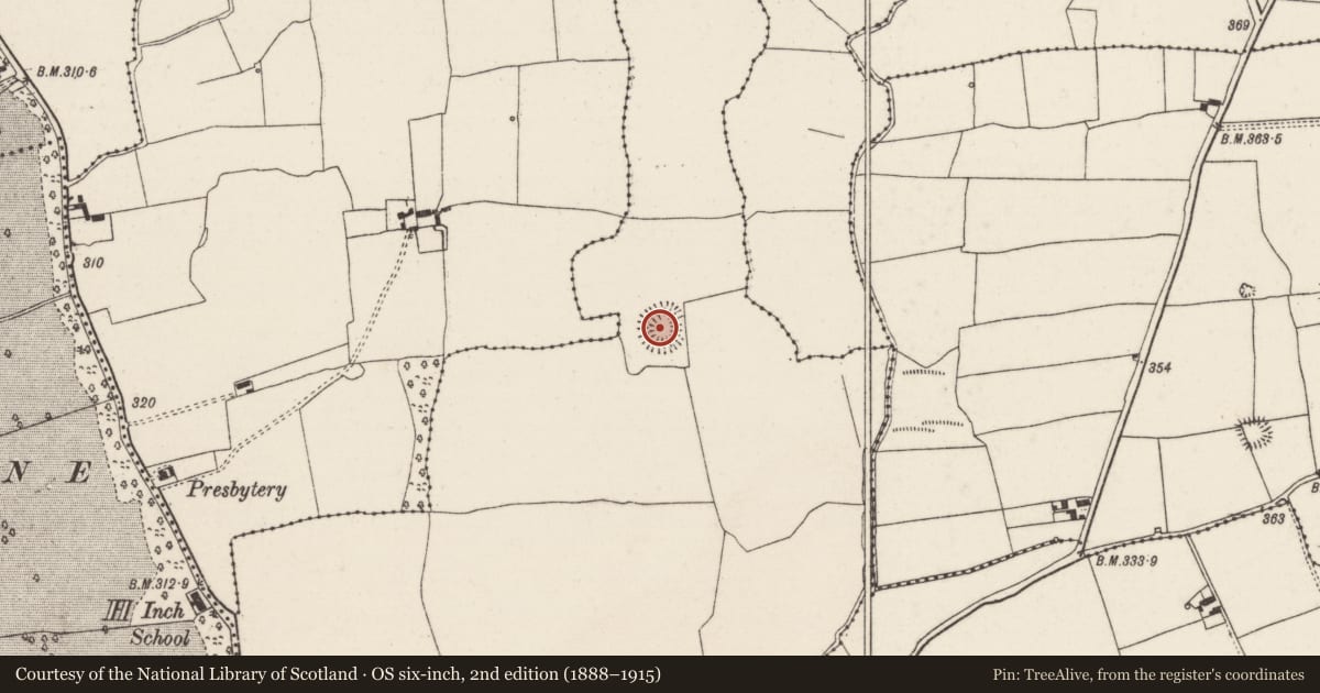 Ordnance Survey six-inch map, 2nd edition (1888–1915) covering the location of Ringfort - rath, Bouladuff, County Tipperary North, with a pin at the register's coordinates