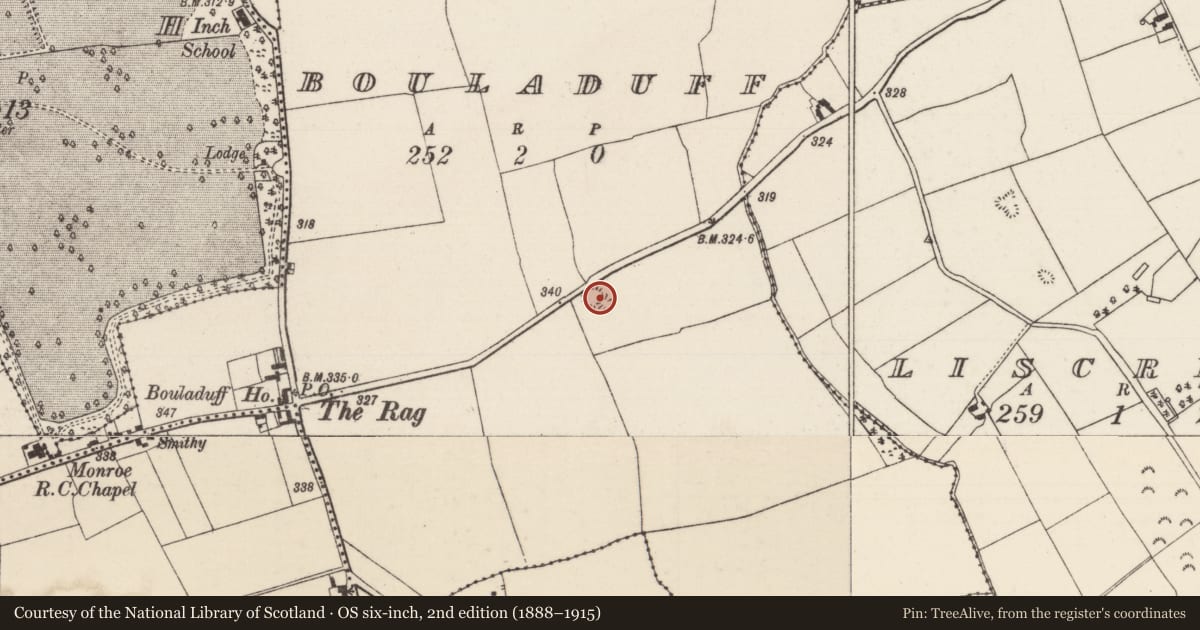 Ordnance Survey six-inch map, 2nd edition (1888–1915) covering the location of Barrow - mound barrow, Bouladuff, County Tipperary North, with a pin at the register's coordinates