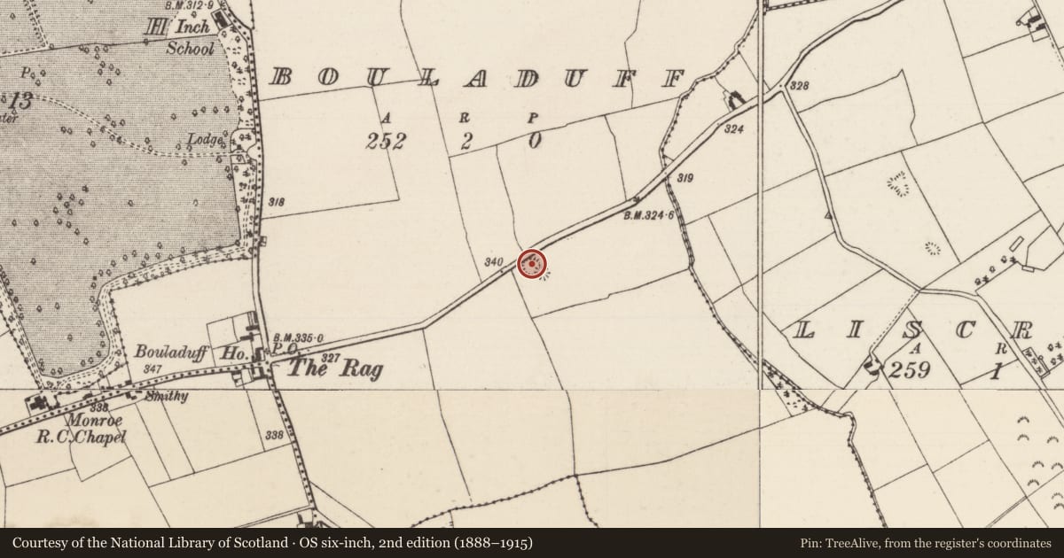 Ordnance Survey six-inch map, 2nd edition (1888–1915) covering the location of Cist, Bouladuff, County Tipperary North, with a pin at the register's coordinates