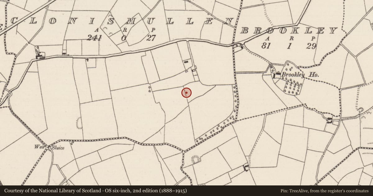 Ordnance Survey six-inch map, 2nd edition (1888–1915) covering the location of Moated site, Clonismullen, County Tipperary North, with a pin at the register's coordinates