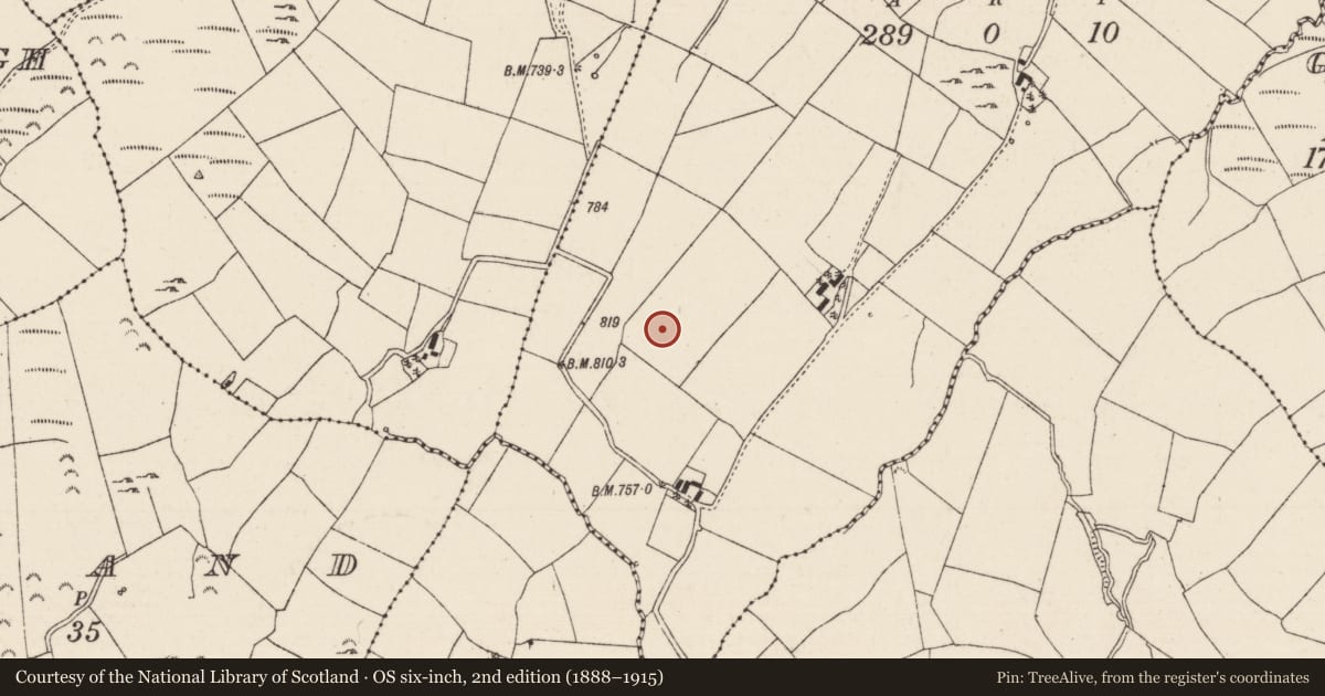 Ordnance Survey six-inch map, 2nd edition (1888–1915) covering the location of Standing stone, Rusheen More, County Tipperary North, with a pin at the register's coordinates