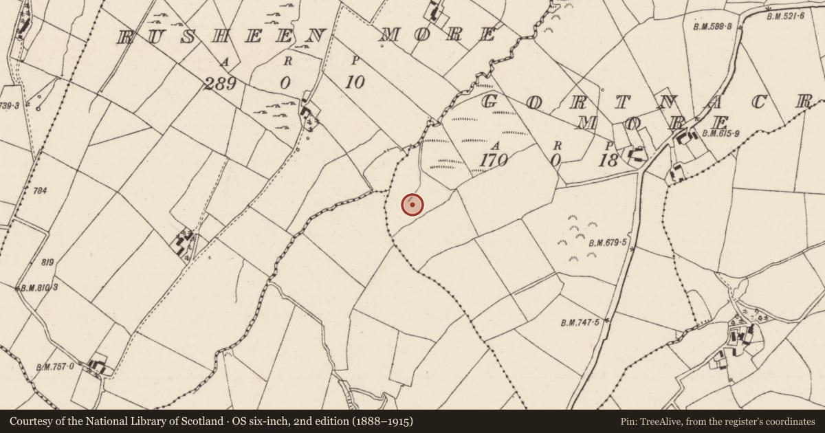 Ordnance Survey six-inch map, 2nd edition (1888–1915) covering the location of Fulacht fia, Gortnacran More, County Tipperary North, with a pin at the register's coordinates
