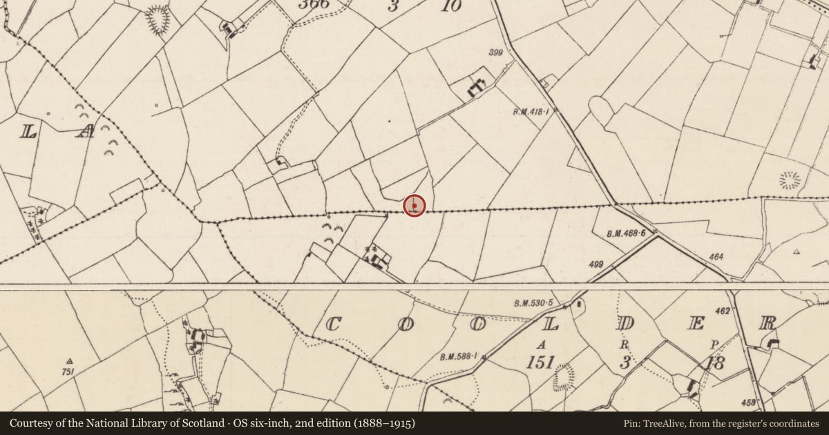 Ordnance Survey six-inch map, 2nd edition (1888–1915) covering the location of Fulacht fia, Pallas Upper, County Tipperary North, with a pin at the register's coordinates