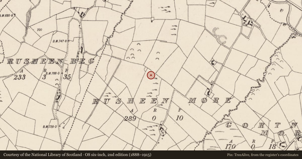 Ordnance Survey six-inch map, 2nd edition (1888–1915) covering the location of Barrow - ring-barrow, Rusheen More, County Tipperary North, with a pin at the register's coordinates