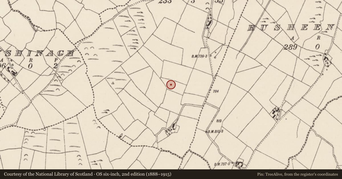 Ordnance Survey six-inch map, 2nd edition (1888–1915) covering the location of Standing stone, Rusheen Beg, County Tipperary North, with a pin at the register's coordinates