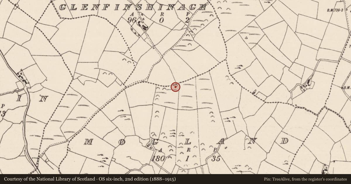 Ordnance Survey six-inch map, 2nd edition (1888–1915) covering the location of Barrow - ring-barrow, Mogland, County Tipperary North, with a pin at the register's coordinates