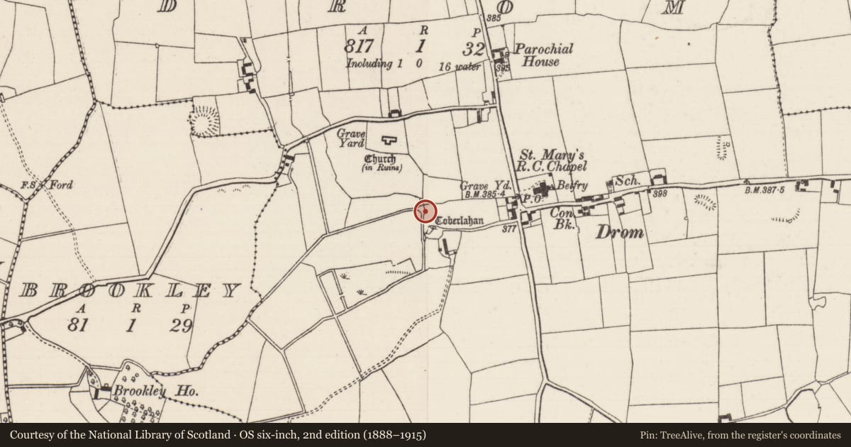 Ordnance Survey six-inch map, 2nd edition (1888–1915) covering the location of Ritual site - holy well, Drom, County Tipperary North, with a pin at the register's coordinates