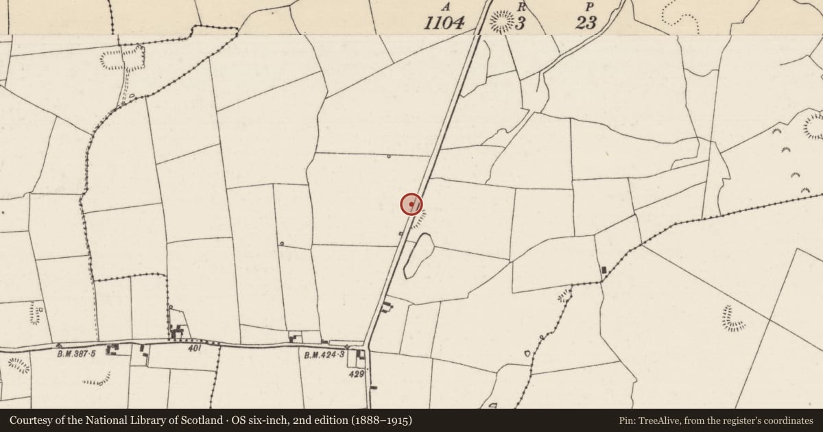 Ordnance Survey six-inch map, 2nd edition (1888–1915) covering the location of Burial ground, Knockagh (Drom Par.), County Tipperary North, with a pin at the register's coordinates