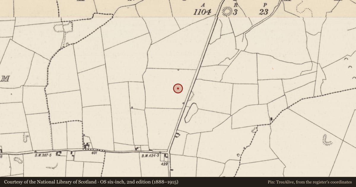 Ordnance Survey six-inch map, 2nd edition (1888–1915) covering the location of Standing stone, Knockagh (Drom Par.), County Tipperary North, with a pin at the register's coordinates