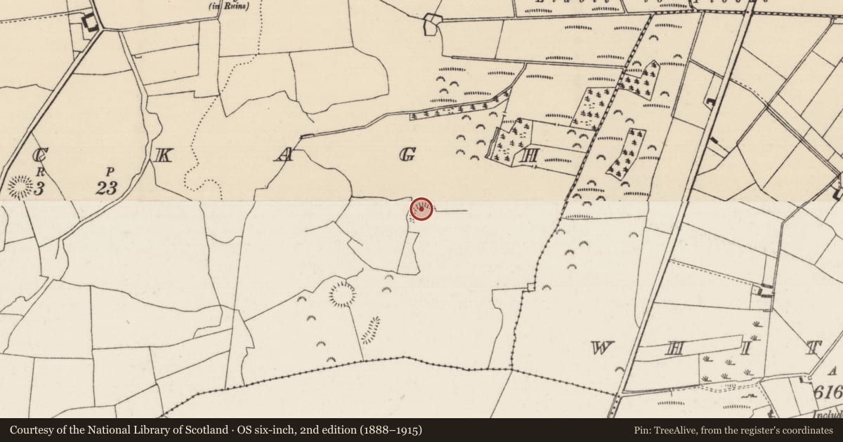 Ordnance Survey six-inch map, 2nd edition (1888–1915) covering the location of Ringfort - rath, Knockagh (Drom Par.), County Tipperary North, with a pin at the register's coordinates