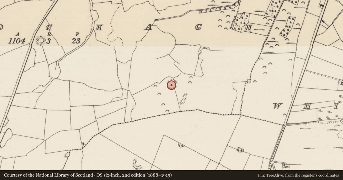 Ordnance Survey six-inch map, 2nd edition (1888–1915) covering the location of Ringfort - rath, Knockagh (Drom Par.), County Tipperary North, with a pin at the register's coordinates