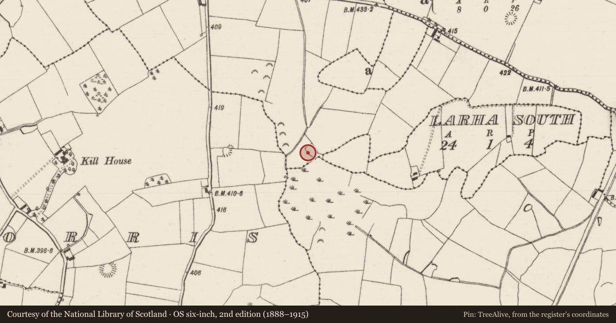 Ordnance Survey six-inch map, 2nd edition (1888–1915) covering the location of Moated site, Knockagh (Drom Par.), County Tipperary North, with a pin at the register's coordinates