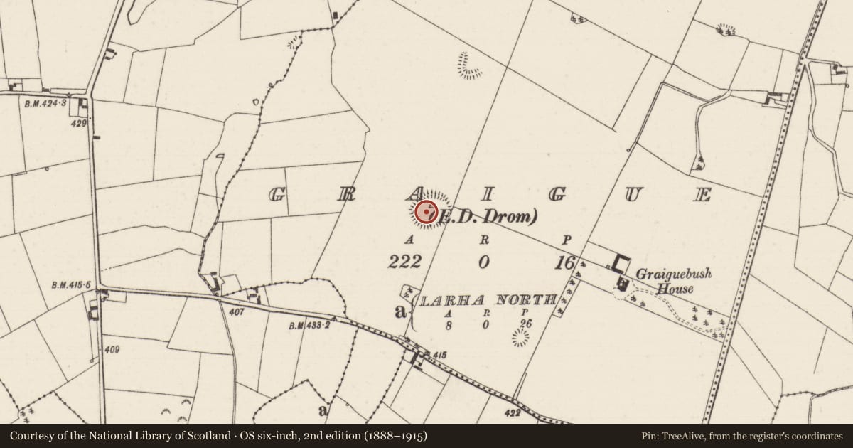 Ordnance Survey six-inch map, 2nd edition (1888–1915) covering the location of Ringfort - rath, Graigue (Drom Par.), County Tipperary North, with a pin at the register's coordinates
