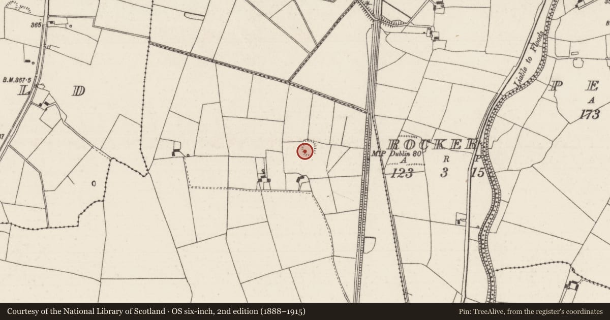 Ordnance Survey six-inch map, 2nd edition (1888–1915) covering the location of Ringfort - rath, Tinvoher, County Tipperary North, with a pin at the register's coordinates