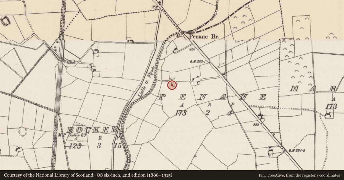 Ordnance Survey six-inch map, 2nd edition (1888–1915) covering the location of Ringfort - rath, Penane, County Tipperary North, with a pin at the register's coordinates
