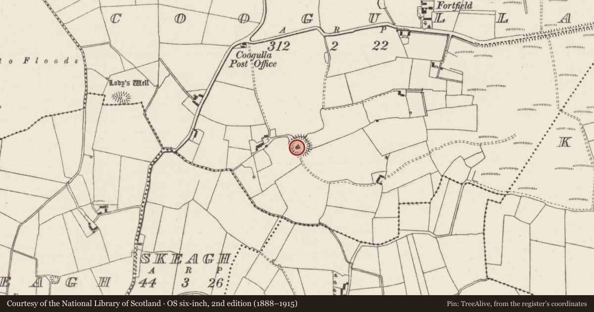 Ordnance Survey six-inch map, 2nd edition (1888–1915) covering the location of Ringfort - rath, Coogulla, County Tipperary North, with a pin at the register's coordinates