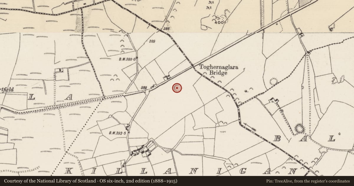 Ordnance Survey six-inch map, 2nd edition (1888–1915) covering the location of Enclosure, Killanigan, County Tipperary North, with a pin at the register's coordinates