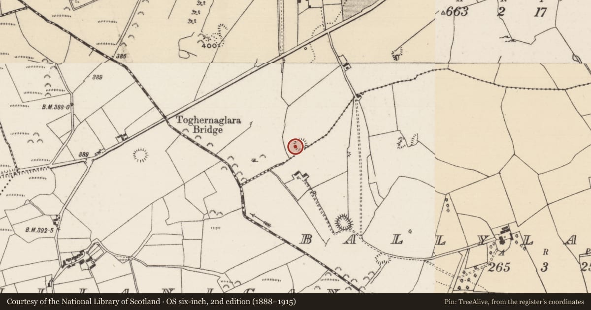 Ordnance Survey six-inch map, 2nd edition (1888–1915) covering the location of Enclosure, Ballylahy, Cranagh, County Tipperary North, with a pin at the register's coordinates