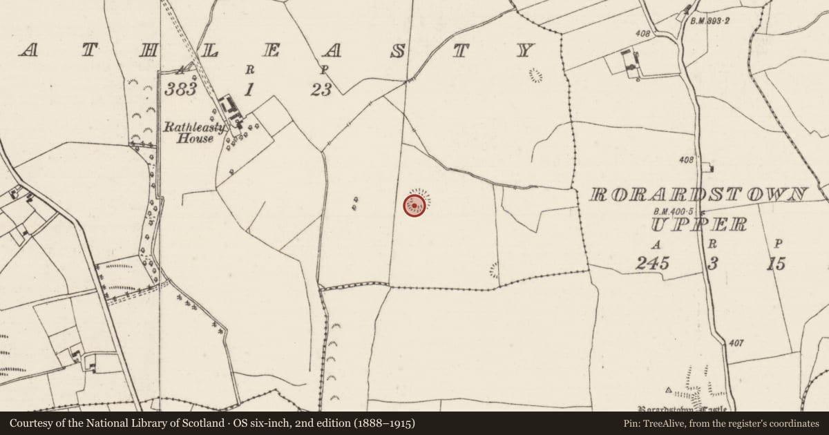 Ordnance Survey six-inch map, 2nd edition (1888–1915) covering the location of Enclosure, Rathleasty, County Tipperary North, with a pin at the register's coordinates